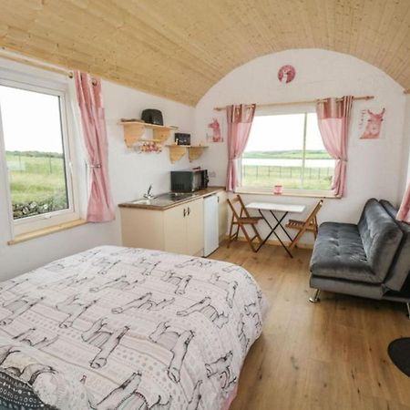 The Beautiful Lazy Llama Shepherd Hut Farm Stay Баллишаннон Экстерьер фото