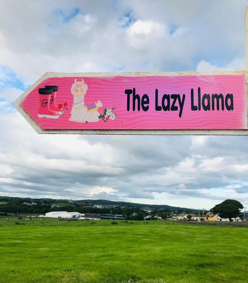 The Beautiful Lazy Llama Shepherd Hut Farm Stay Баллишаннон Экстерьер фото