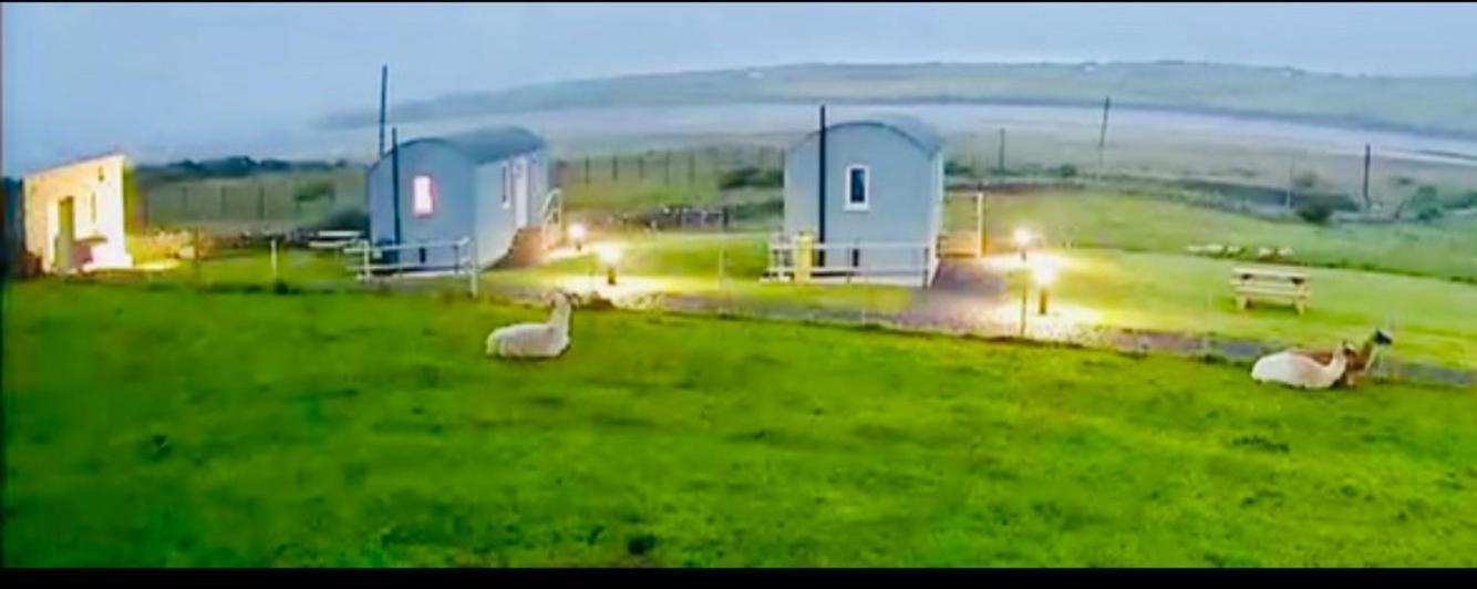 The Beautiful Lazy Llama Shepherd Hut Farm Stay Баллишаннон Экстерьер фото